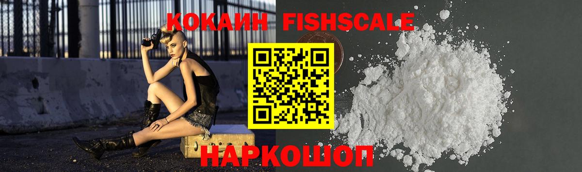 Cocaine Fish Scale  Вход с VPN  Междуреченск 