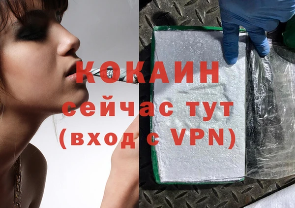 бошки Аркадак