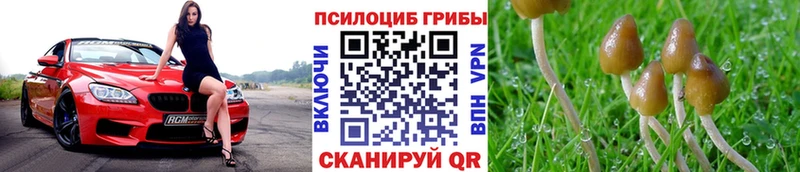 цена   Междуреченск  Галлюциногенные грибы Magic Shrooms 